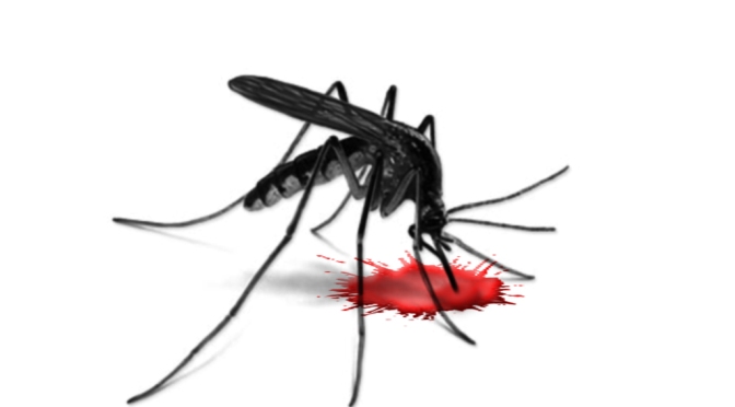 New Approach to Possibly Eredicate Malaria altogether